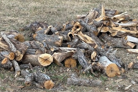 Guadalupe Diversified Services, LLC's image