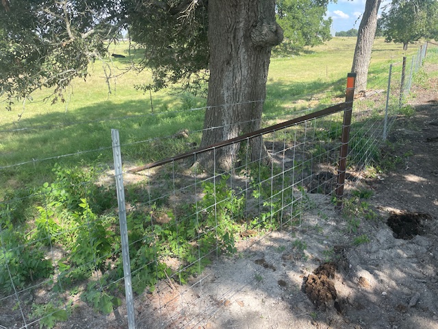 Guadalupe Diversified Services, LLC's image