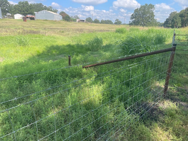 Guadalupe Diversified Services, LLC's image