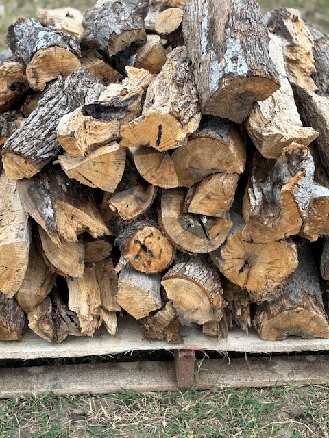 Guadalupe Diversified Services, LLC's image