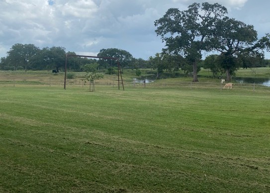 Guadalupe Diversified Services, LLC's image