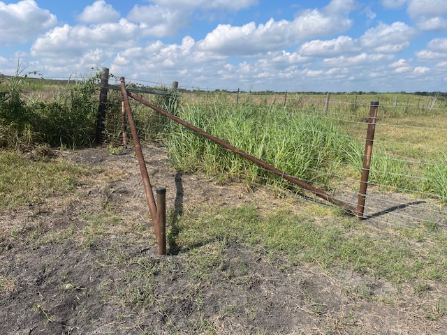 Guadalupe Diversified Services, LLC's image