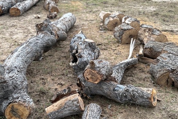 Guadalupe Diversified Services, LLC's image