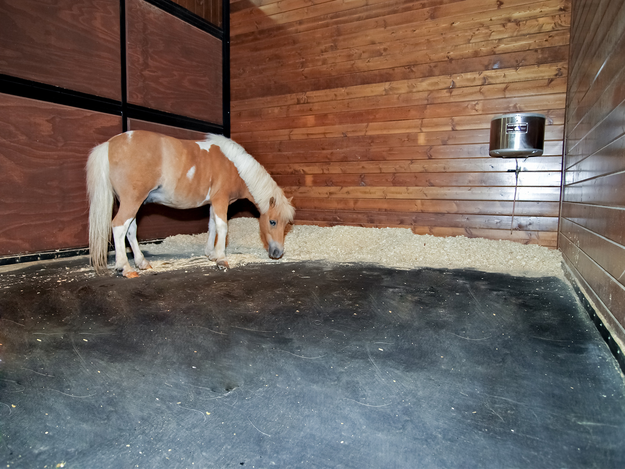 Flex Innovations's image