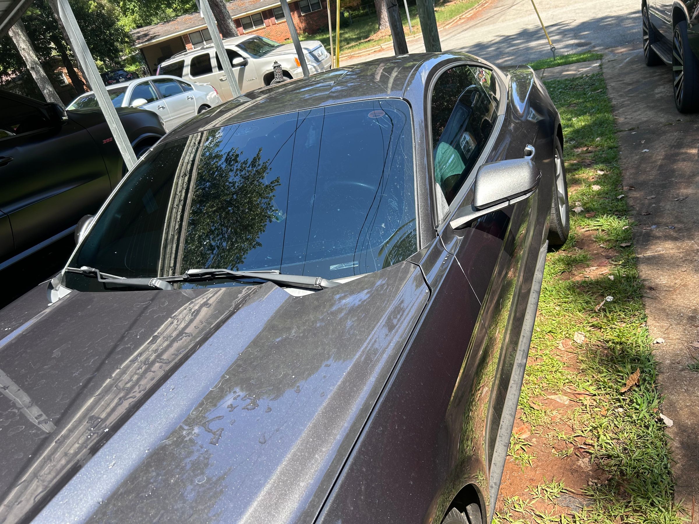 Windshield tinted