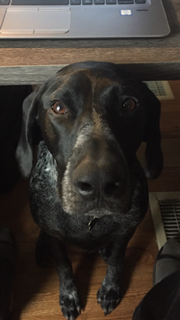 Phase Line Financial LLC's image