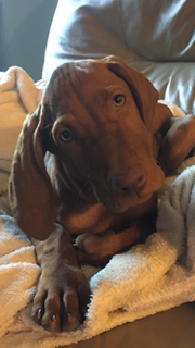 Phase Line Financial LLC's image