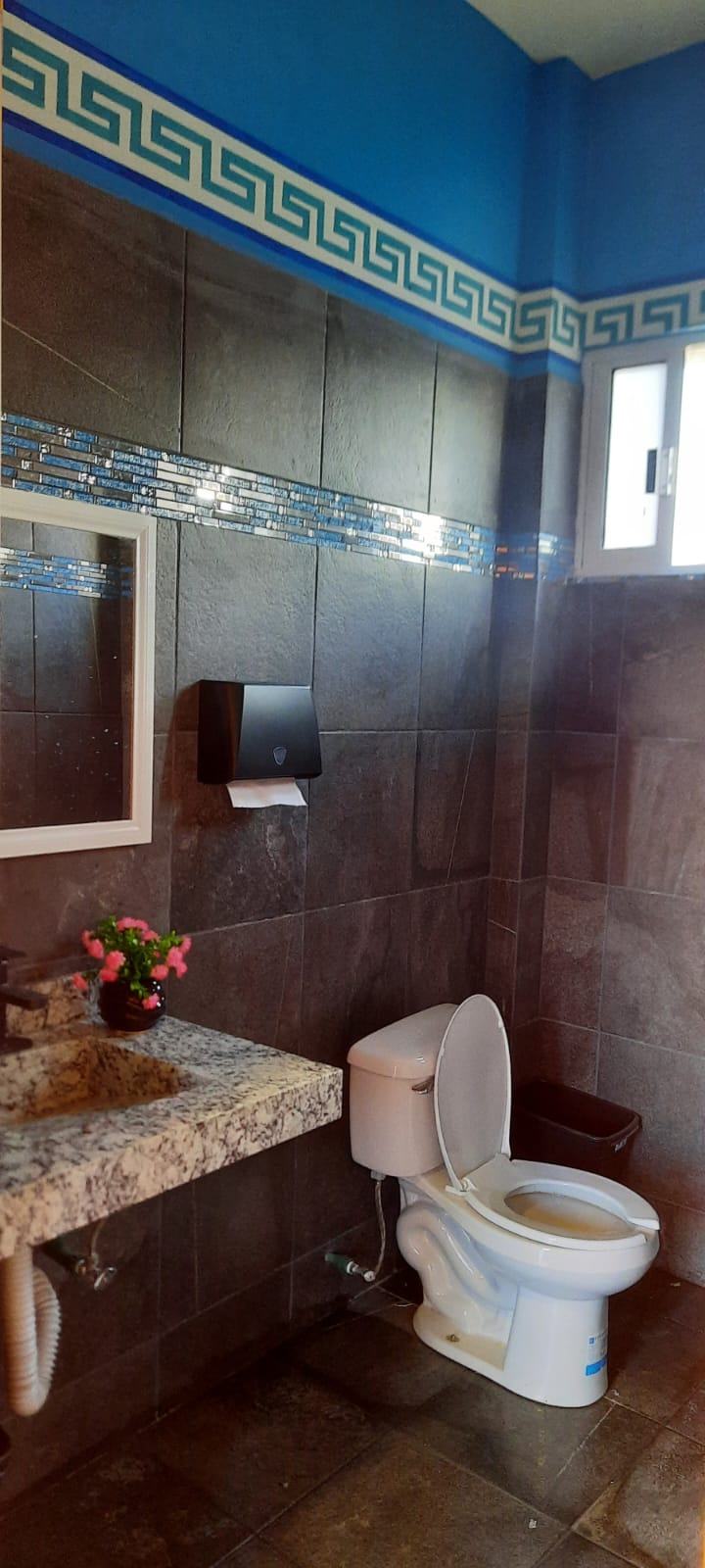 Baño para Descapacitados