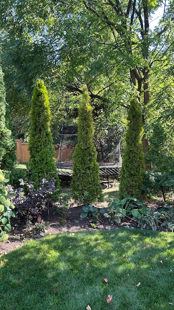 Audley Exteriors's image