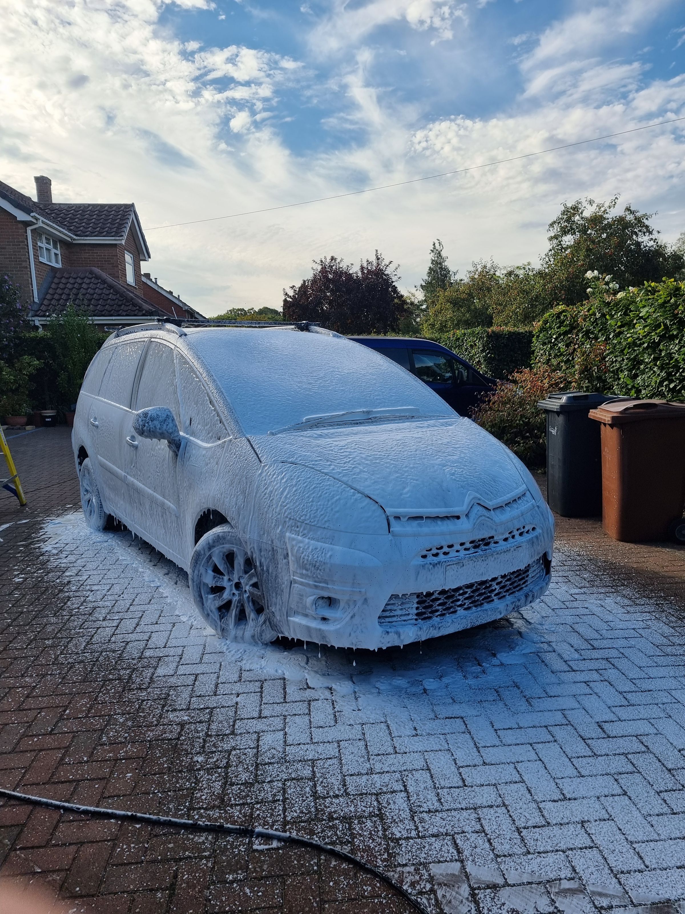 Norfolk gleam clean 's image