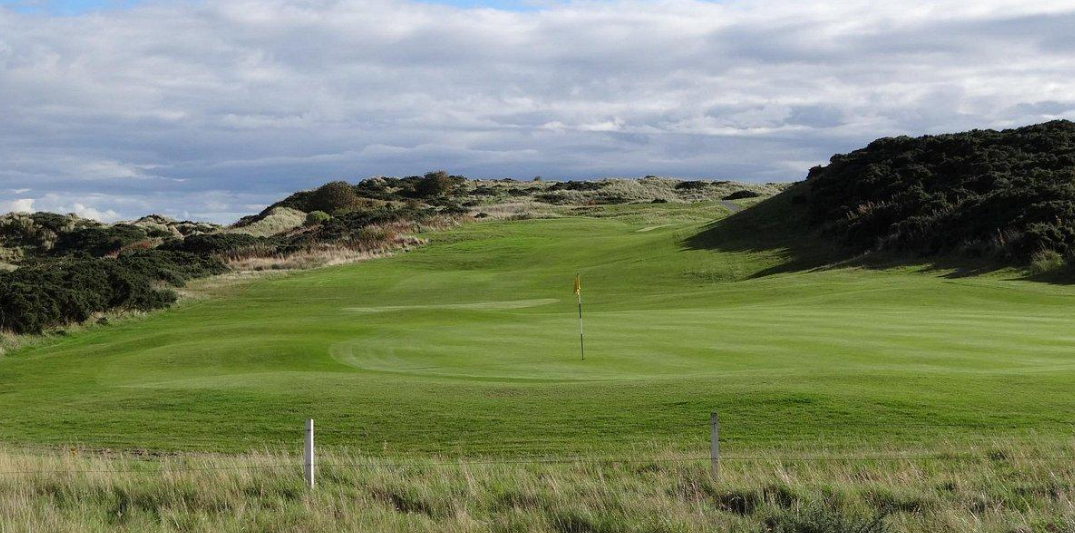 Ace Course Solutions's image