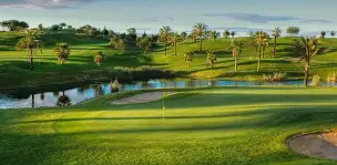 Ace Course Solutions's image