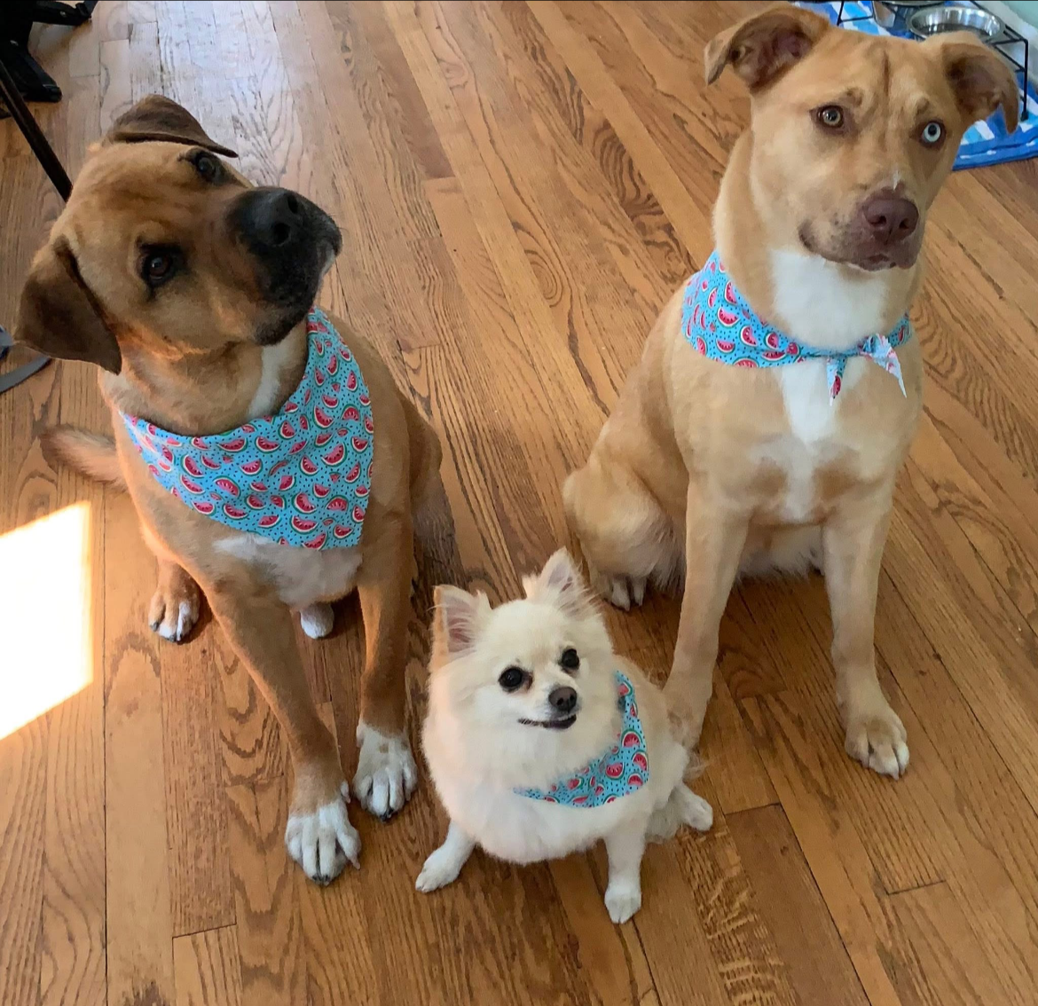 Mac, Miley and Millie