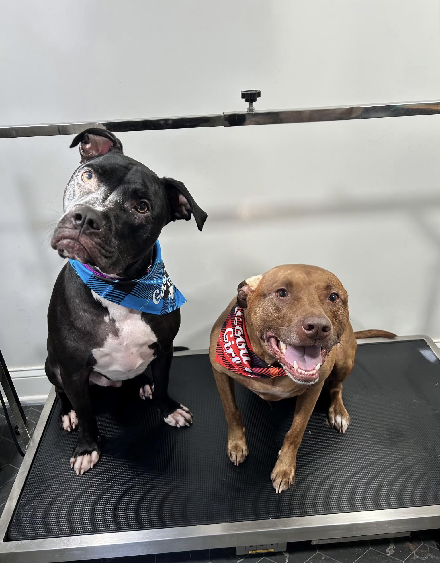 Diglet James and Lacey Mae