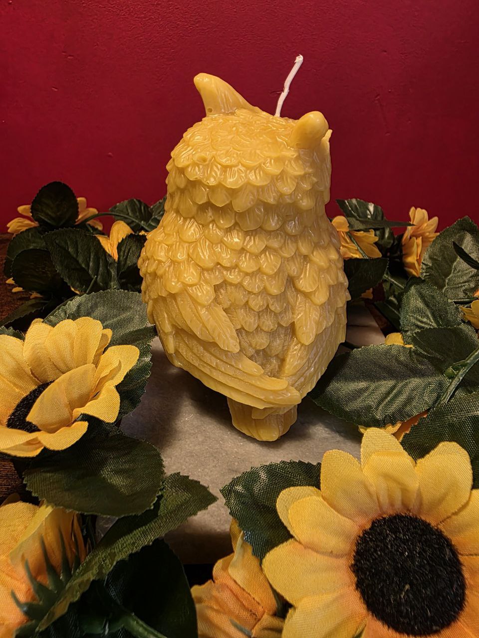 Honey Bea's image