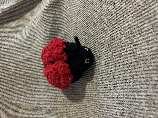 Adorable Ladybug