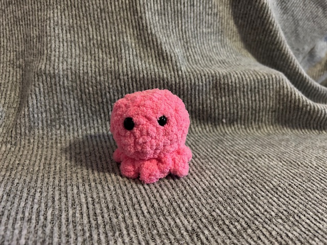 Baby Octopus