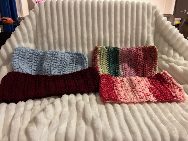 Ear Warmer
