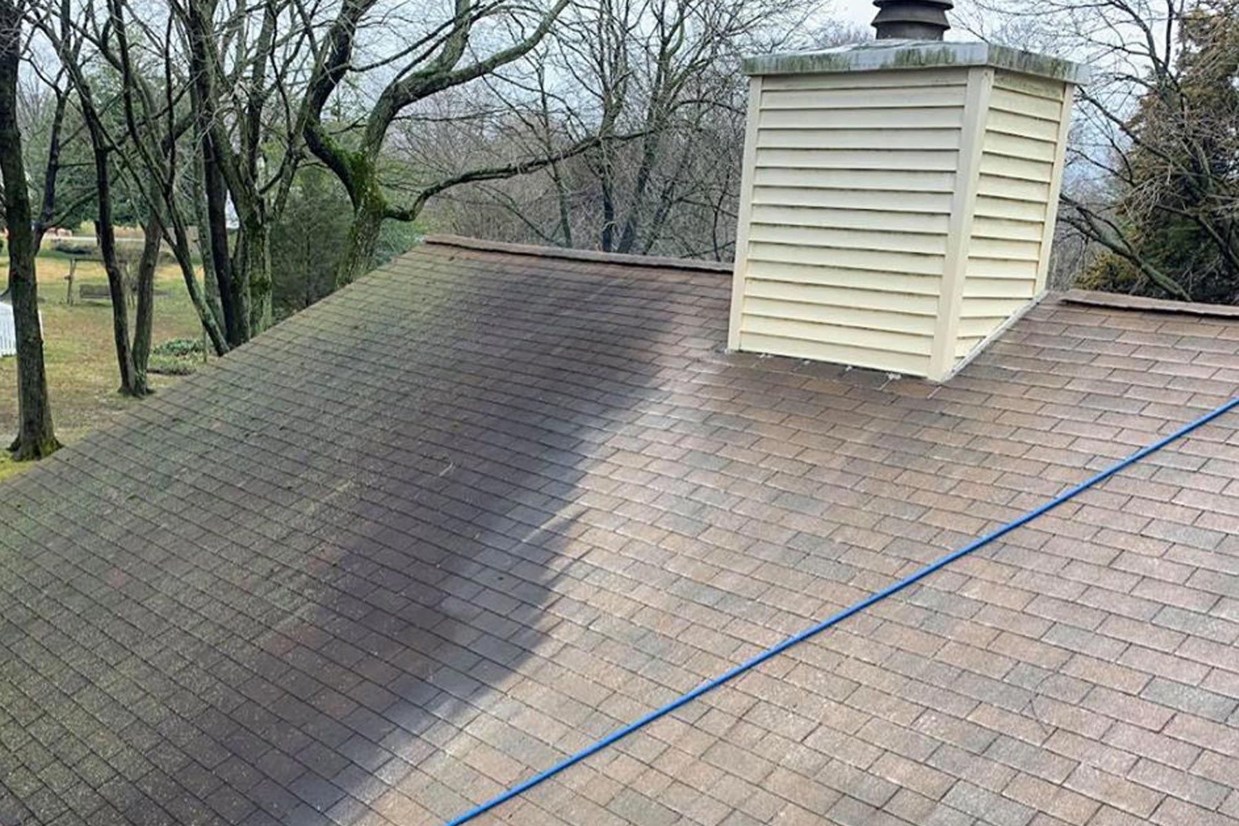 Roof Soft Washing