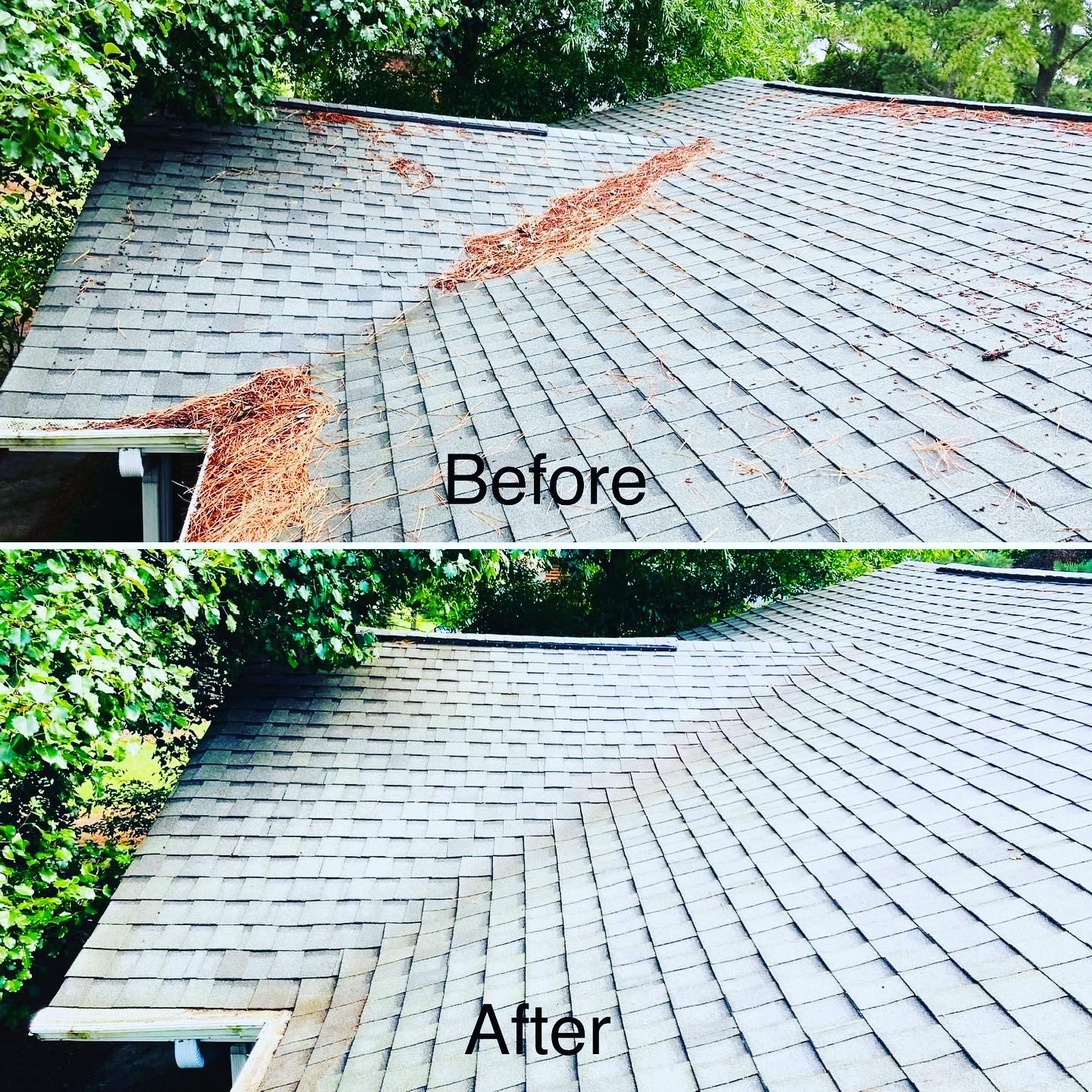 Roof Cleaning