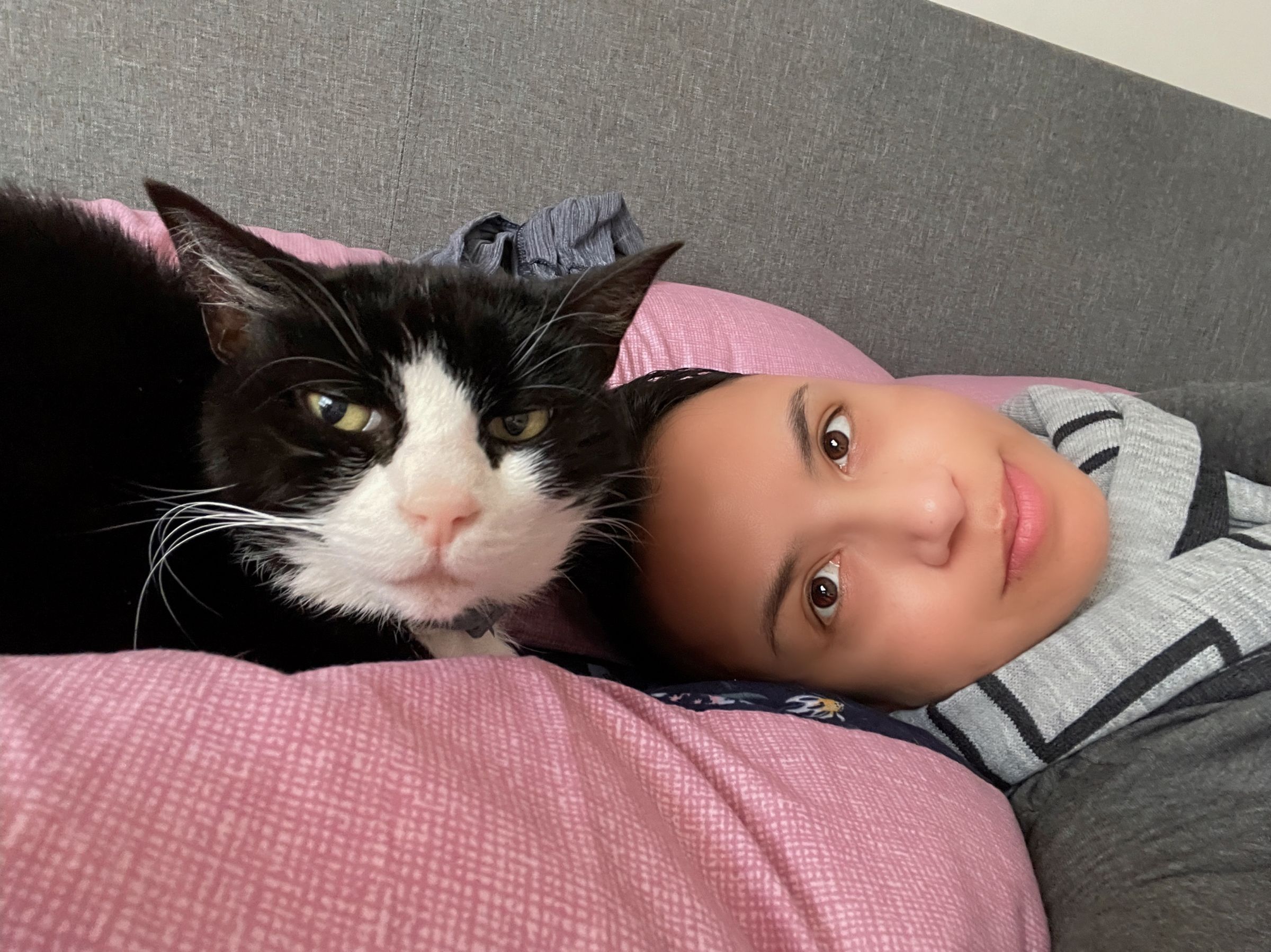 The Joy Remains's image