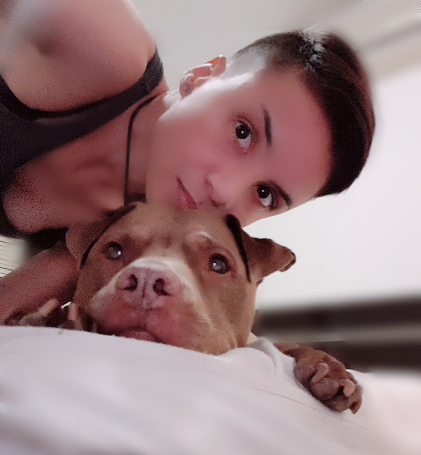 The Joy Remains's image