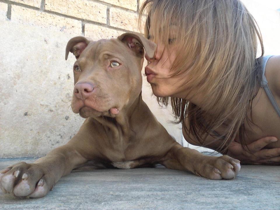 The Joy Remains's image