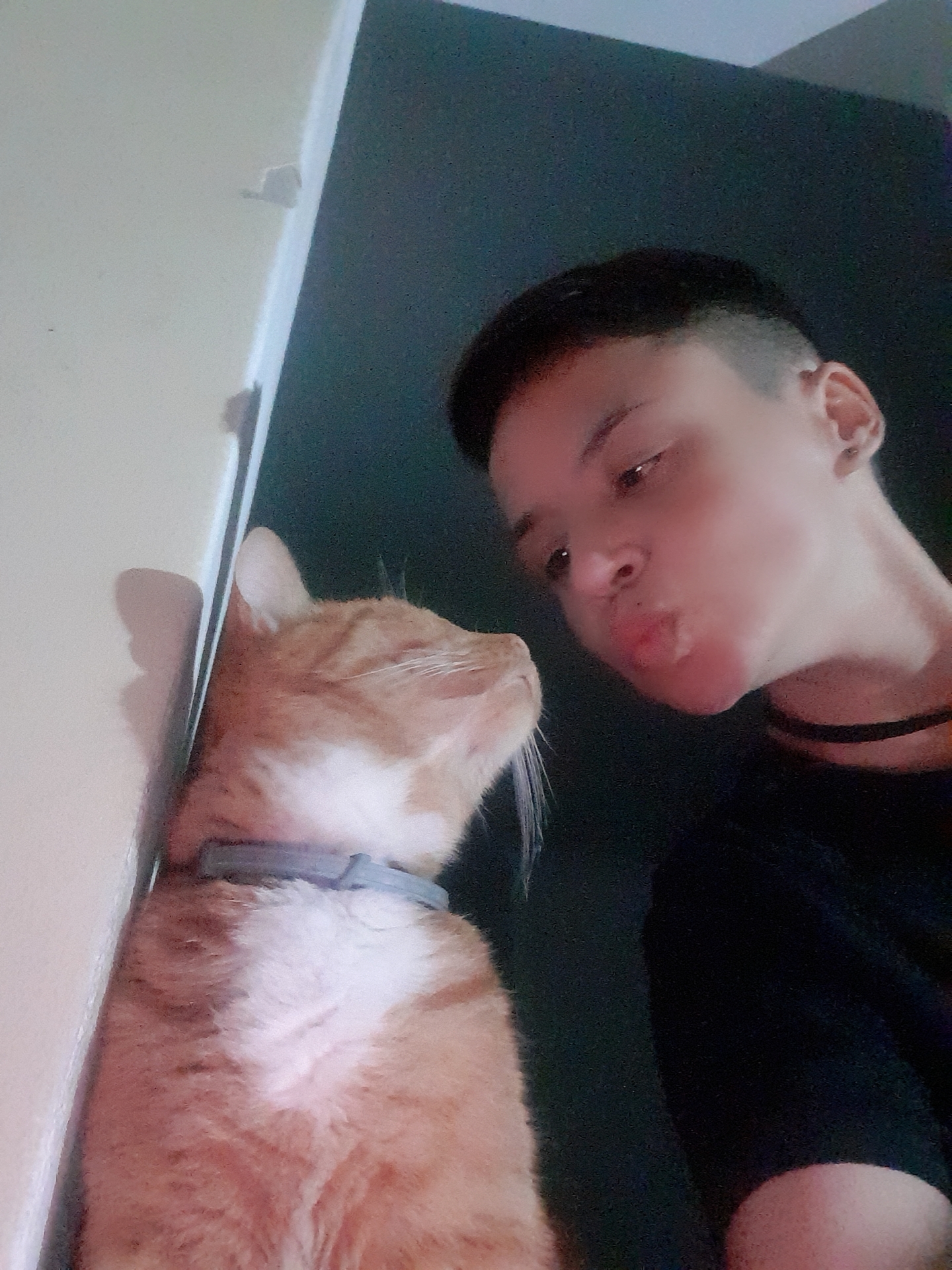 The Joy Remains's image