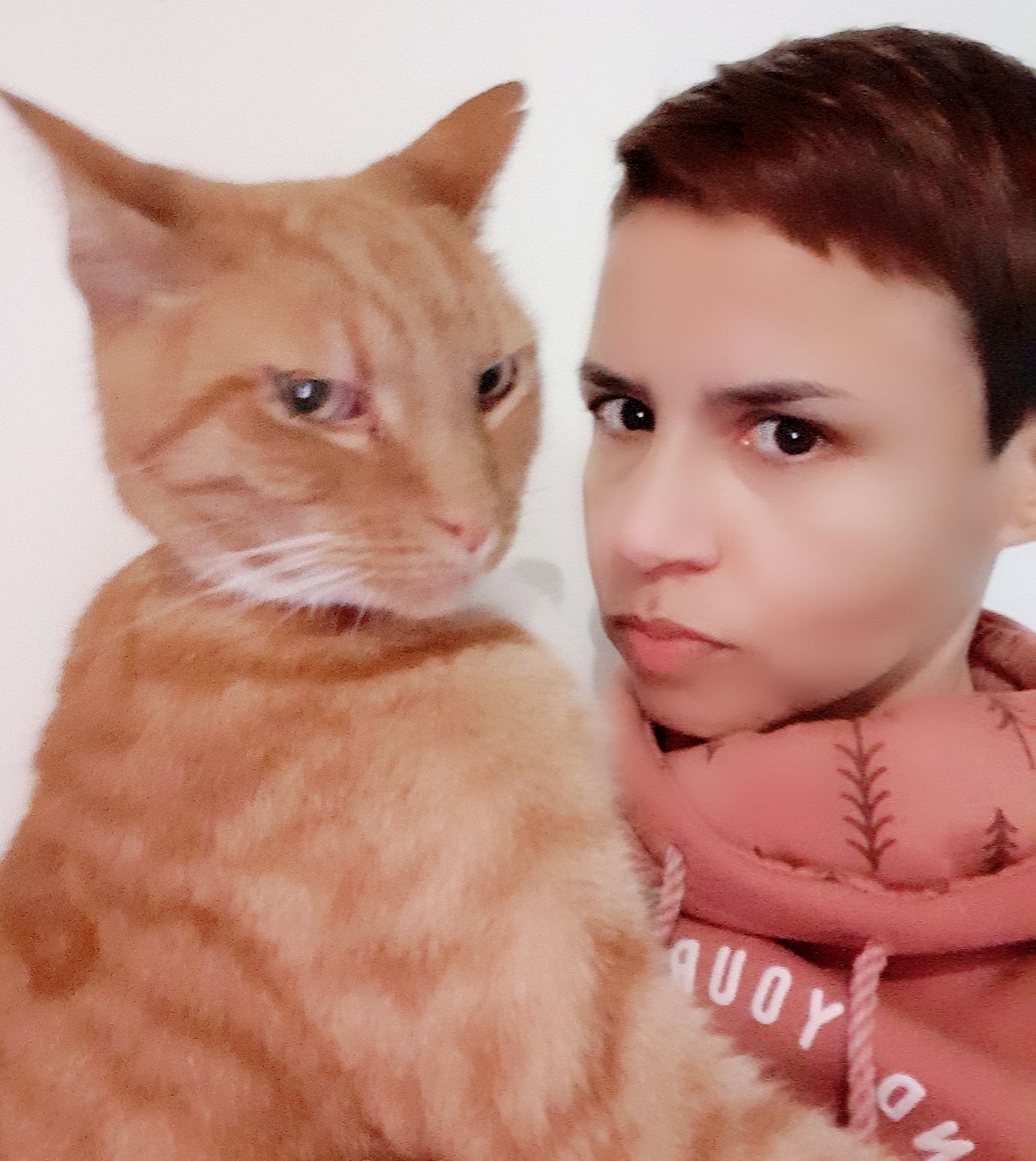 The Joy Remains's image