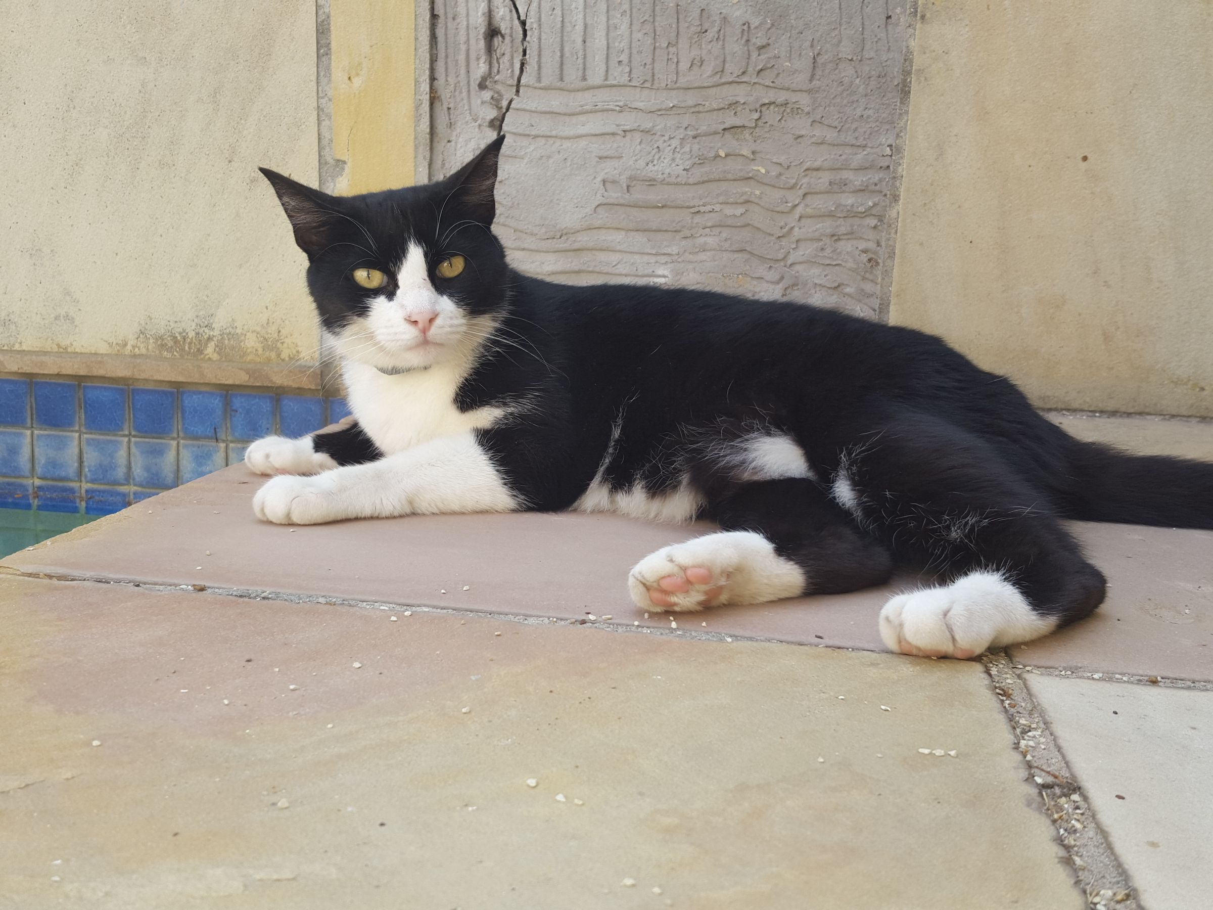 The Joy Remains's image