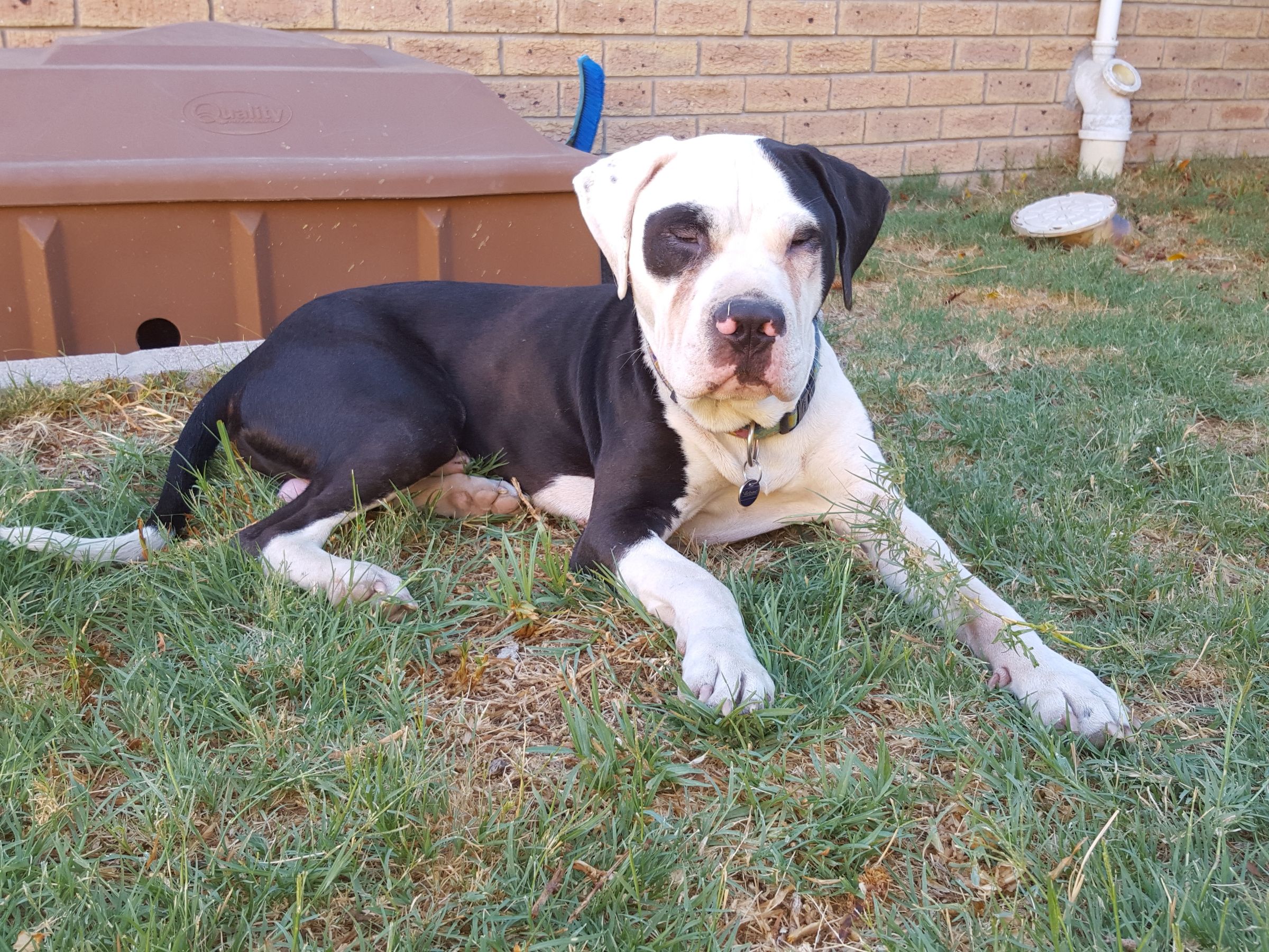 The Joy Remains's image