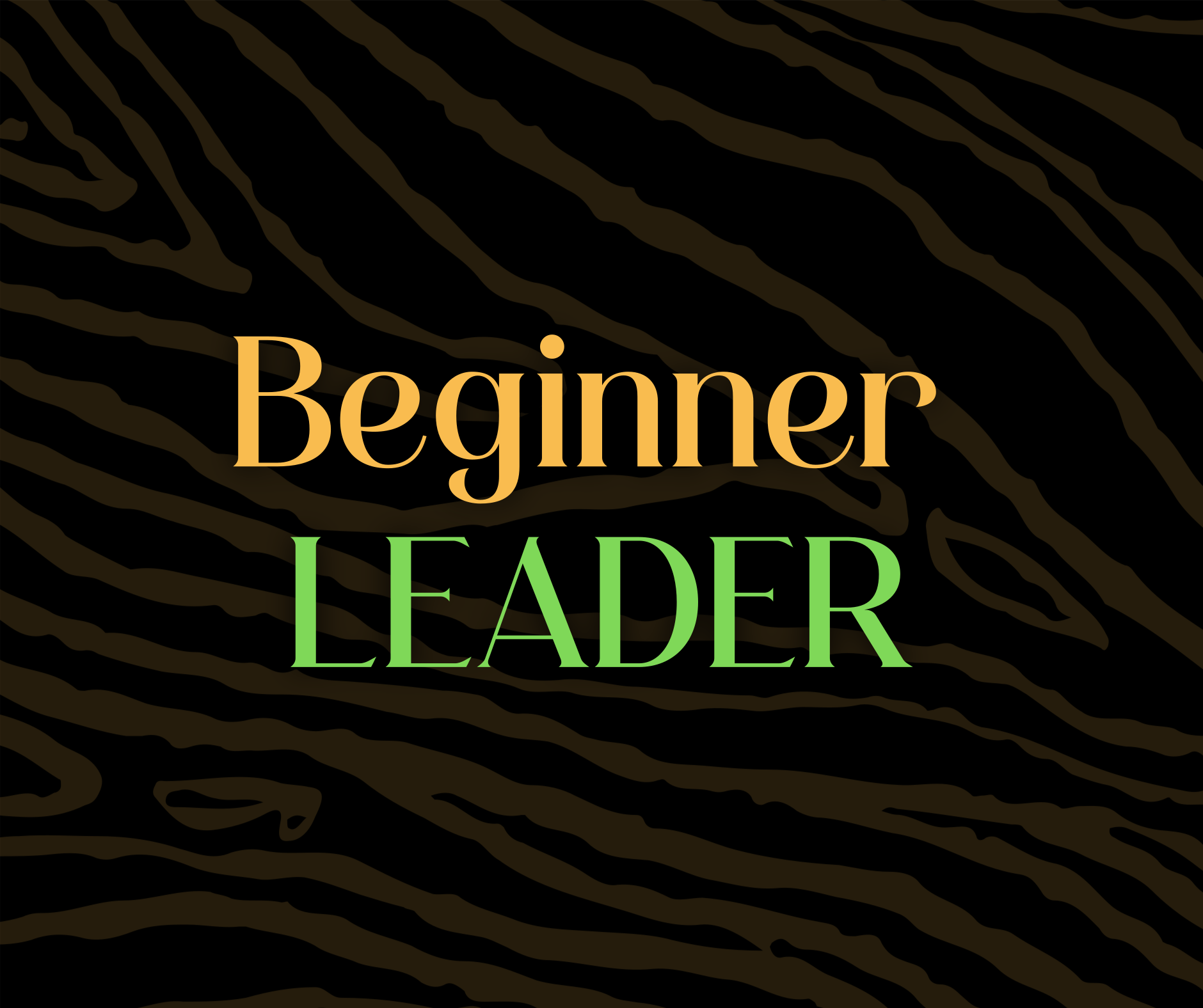 Social Dance Ballincollig's image