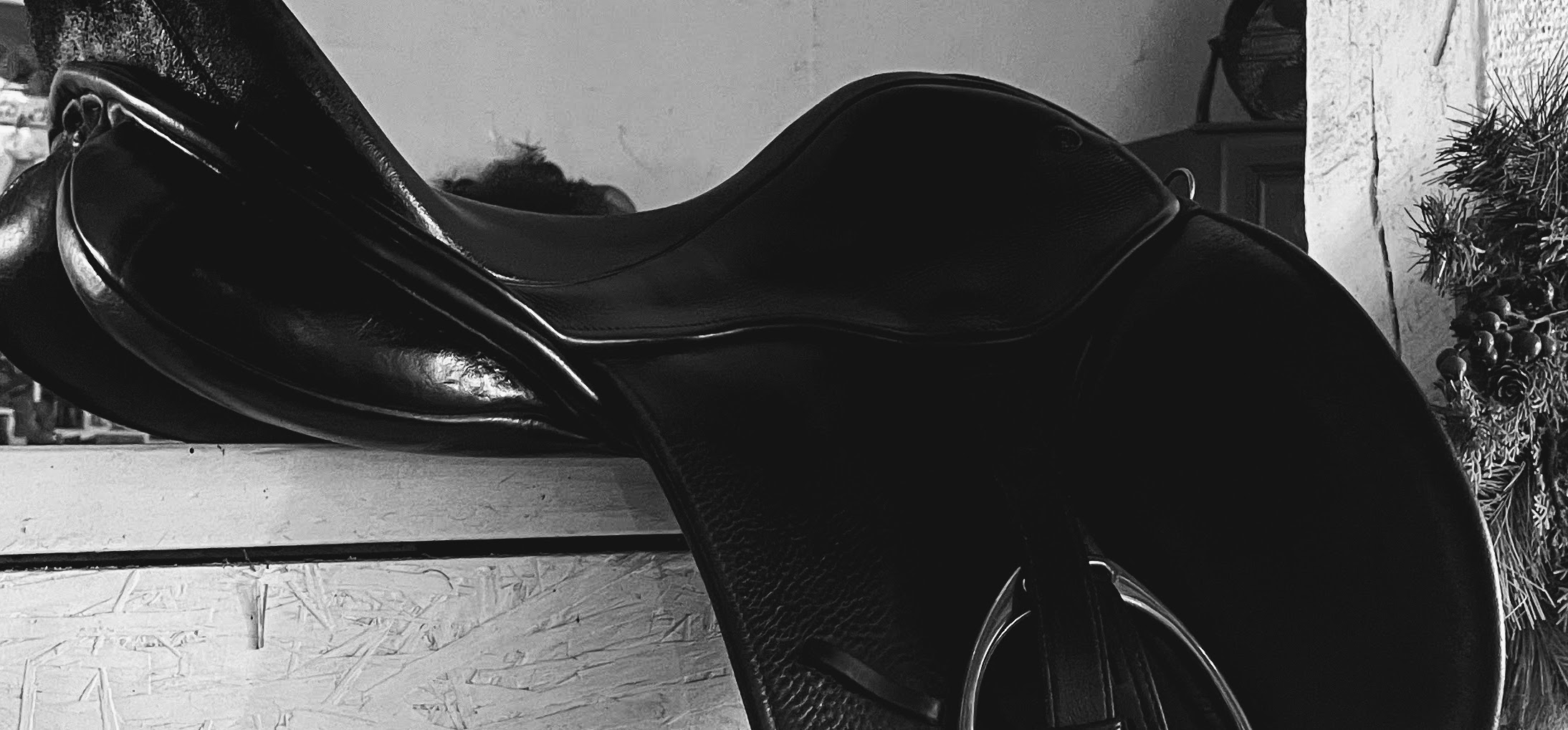 KindFit for Horses | Independent Saddle Fitter's image