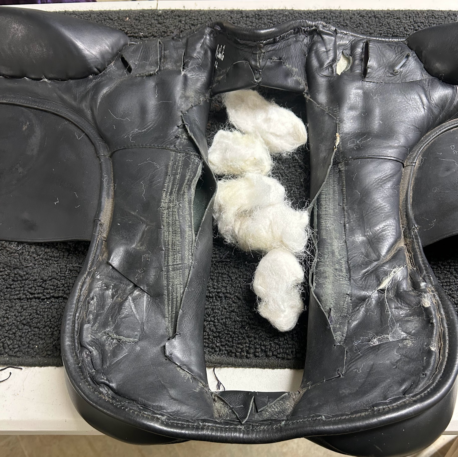 KindFit for Horses | Independent Saddle Fitter's image