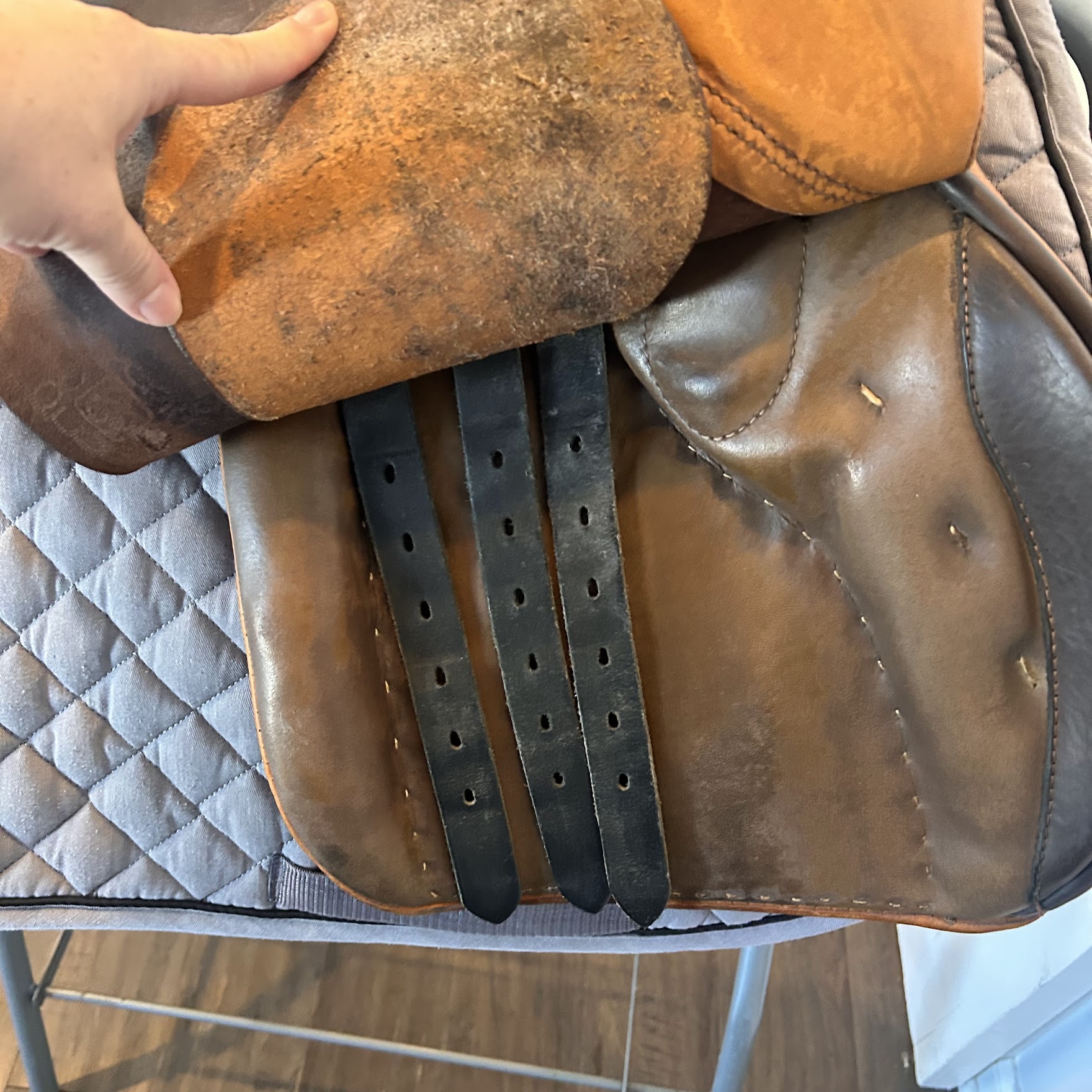 KindFit for Horses | Independent Saddle Fitter's image