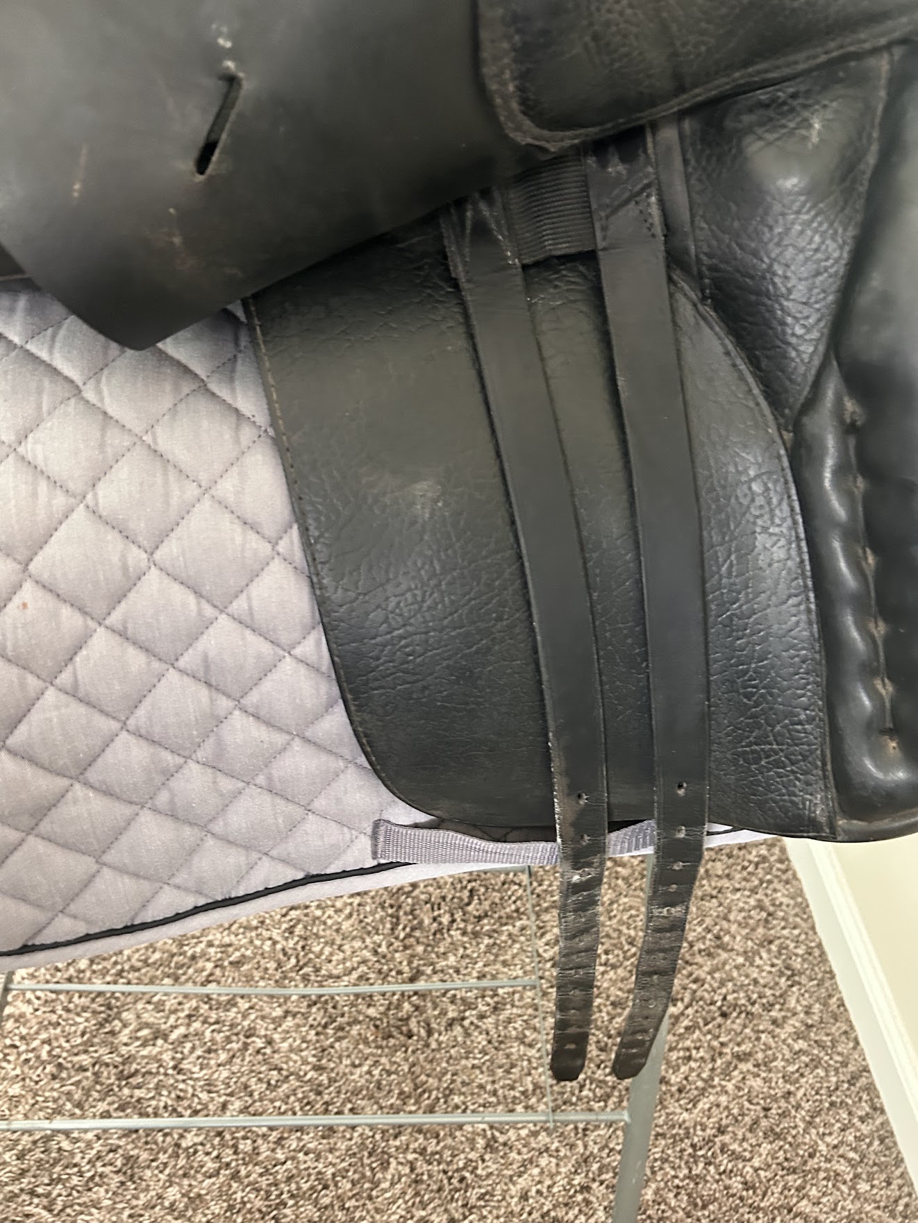 KindFit for Horses | Independent Saddle Fitter's image