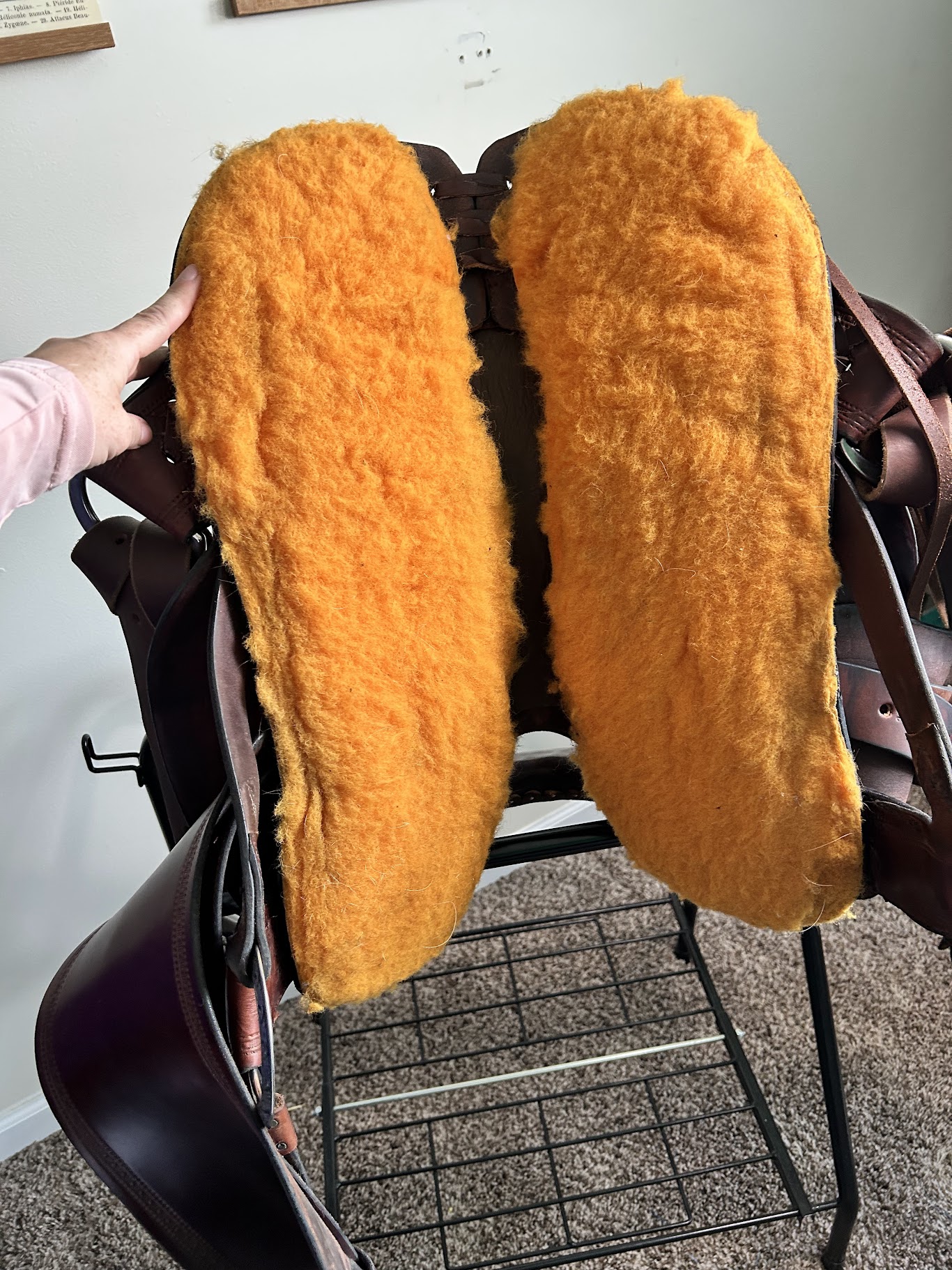 KindFit for Horses | Independent Saddle Fitter's image