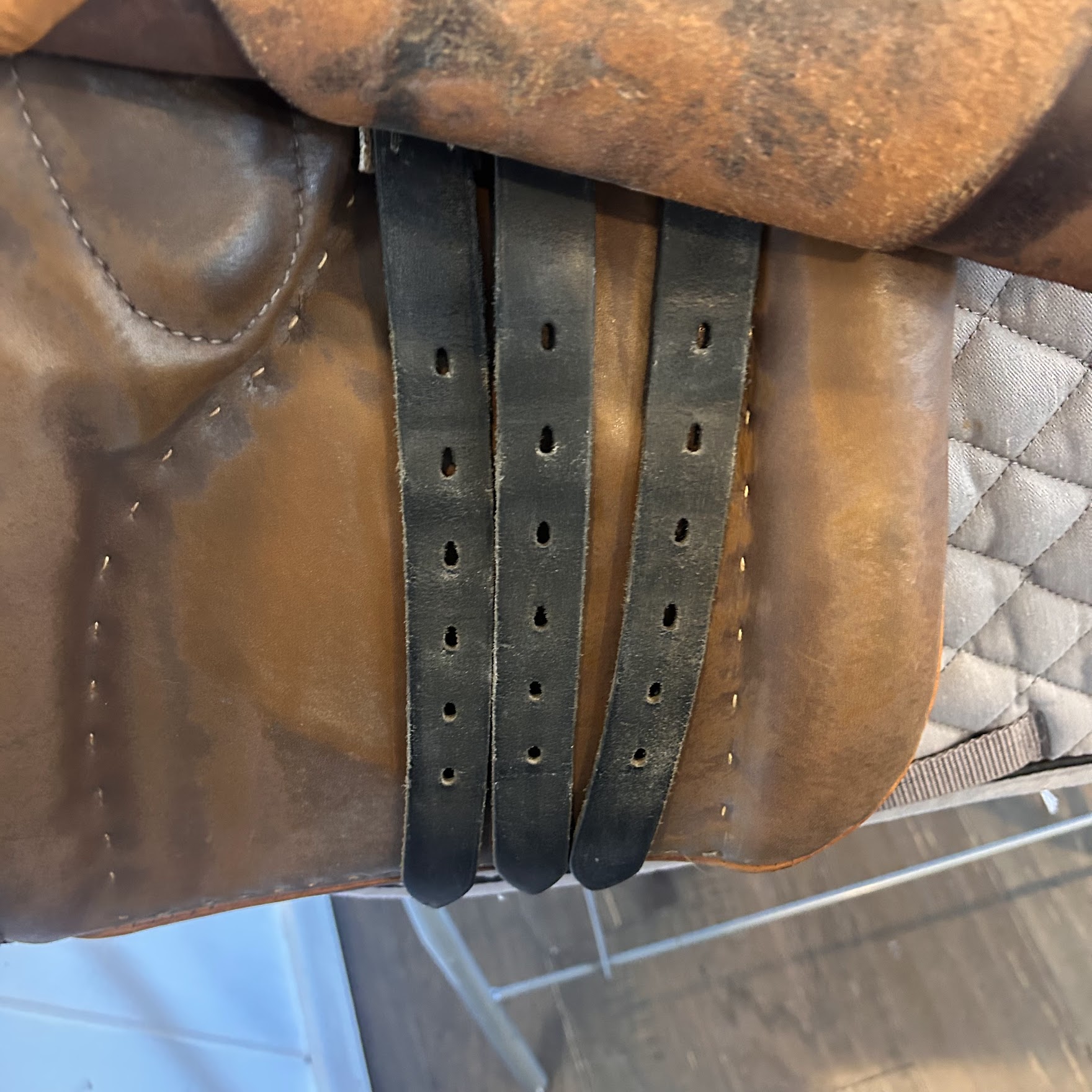 KindFit for Horses | Independent Saddle Fitter's image