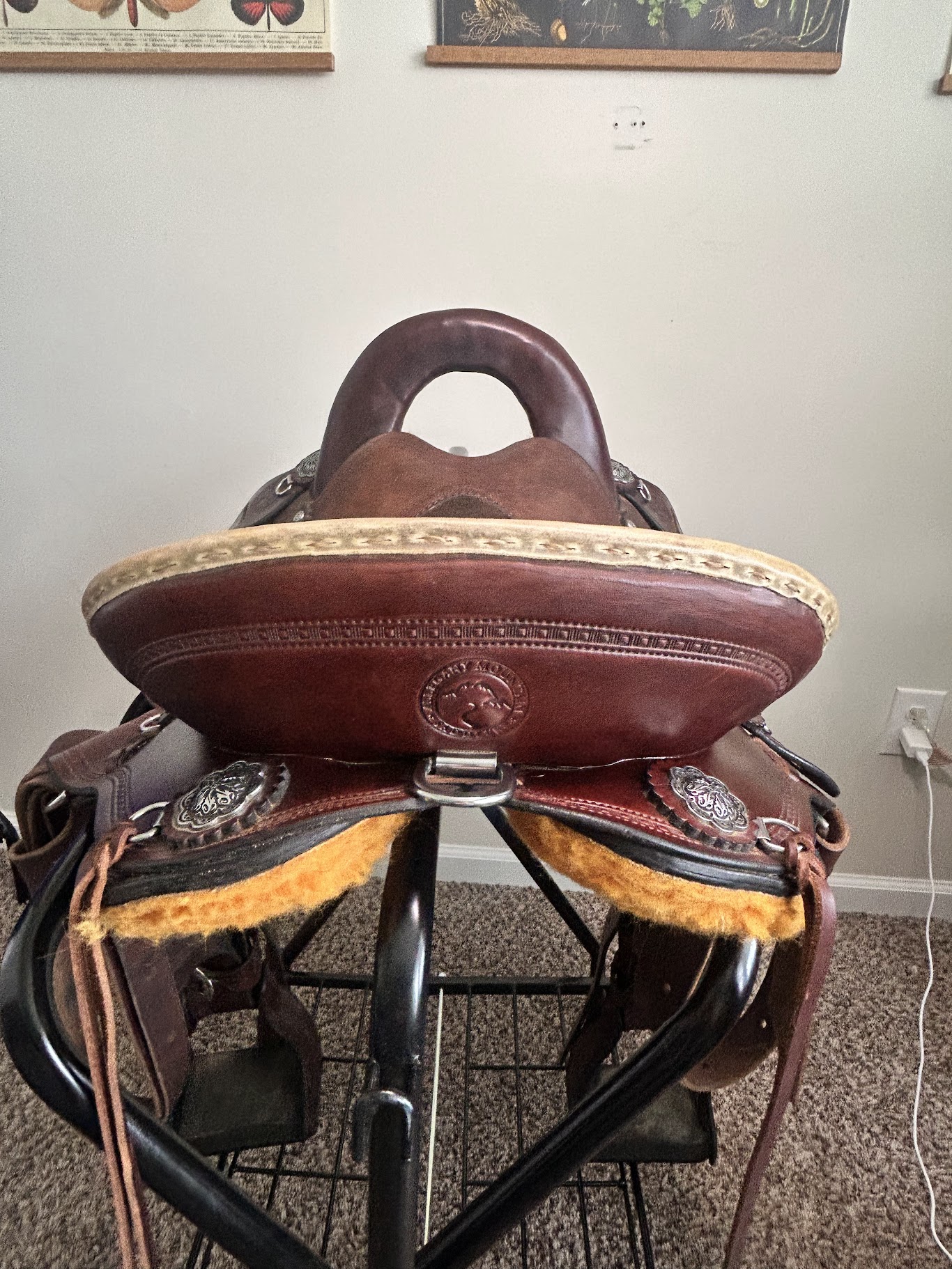 KindFit for Horses | Independent Saddle Fitter's image