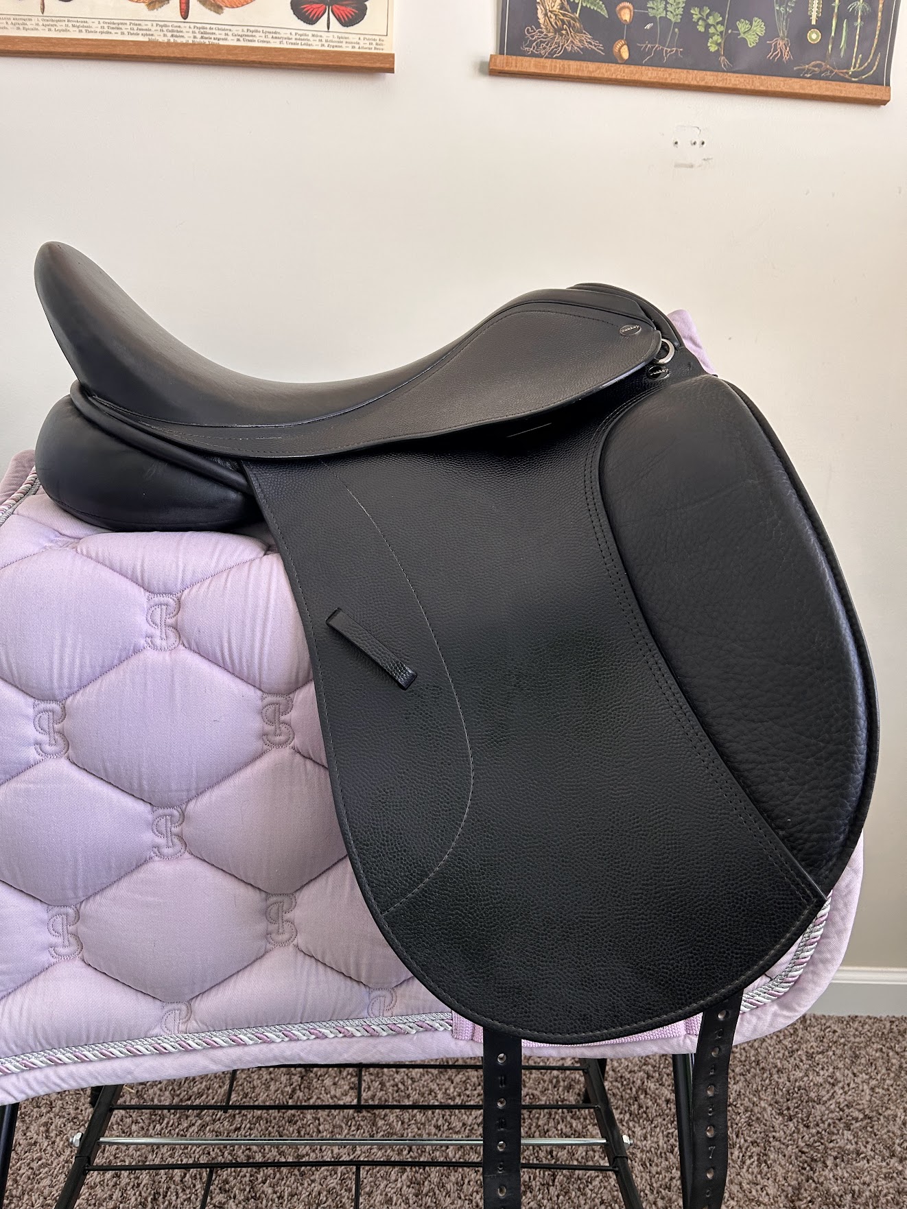 KindFit for Horses | Independent Saddle Fitter's image