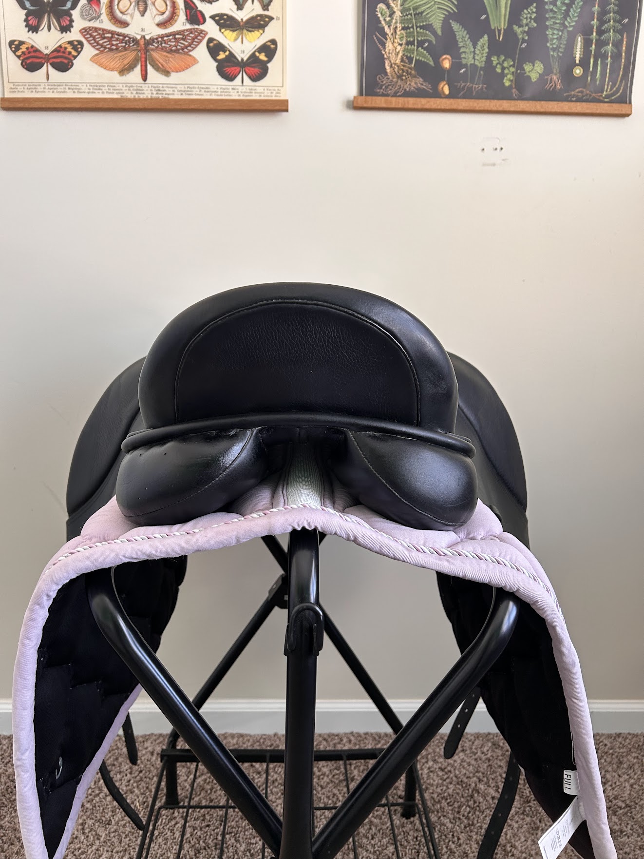 KindFit for Horses | Independent Saddle Fitter's image