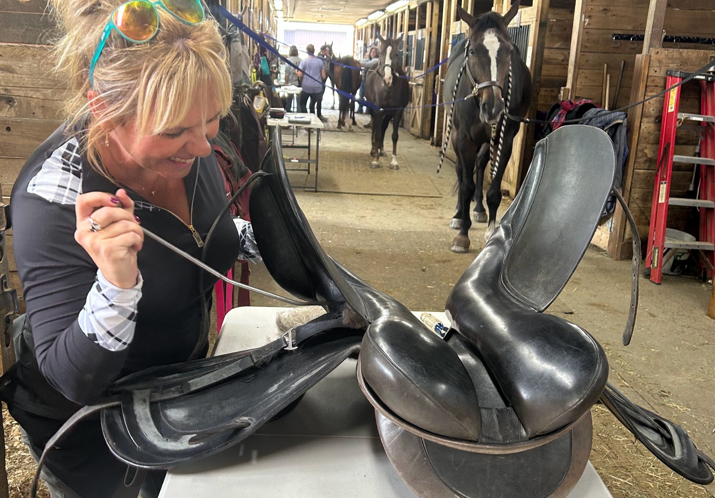 KindFit for Horses | Independent Saddle Fitter's image