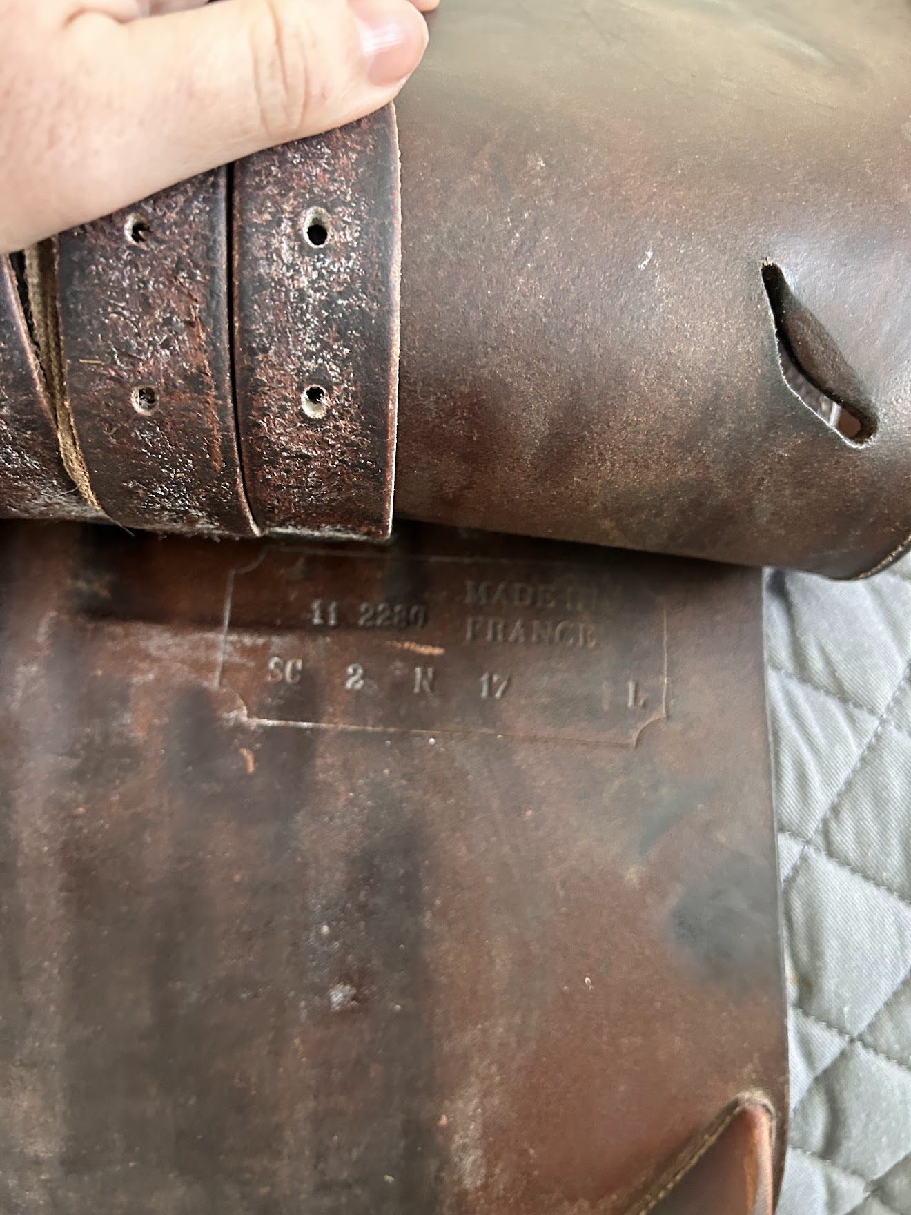 KindFit for Horses | Independent Saddle Fitter's image