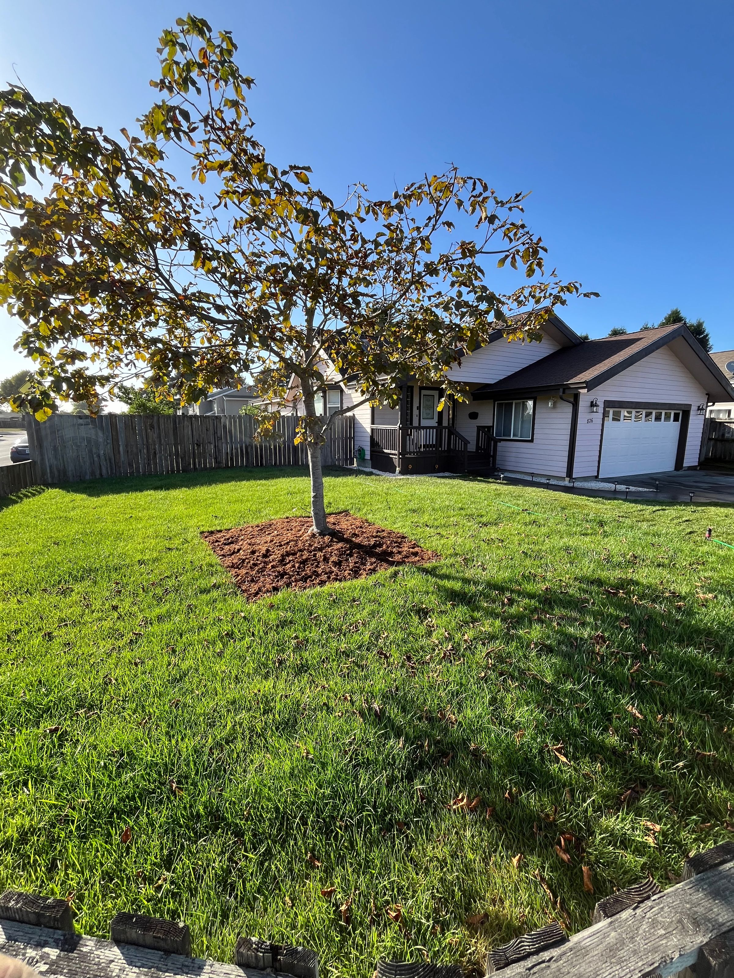 Emerald Roots Landscaping's image