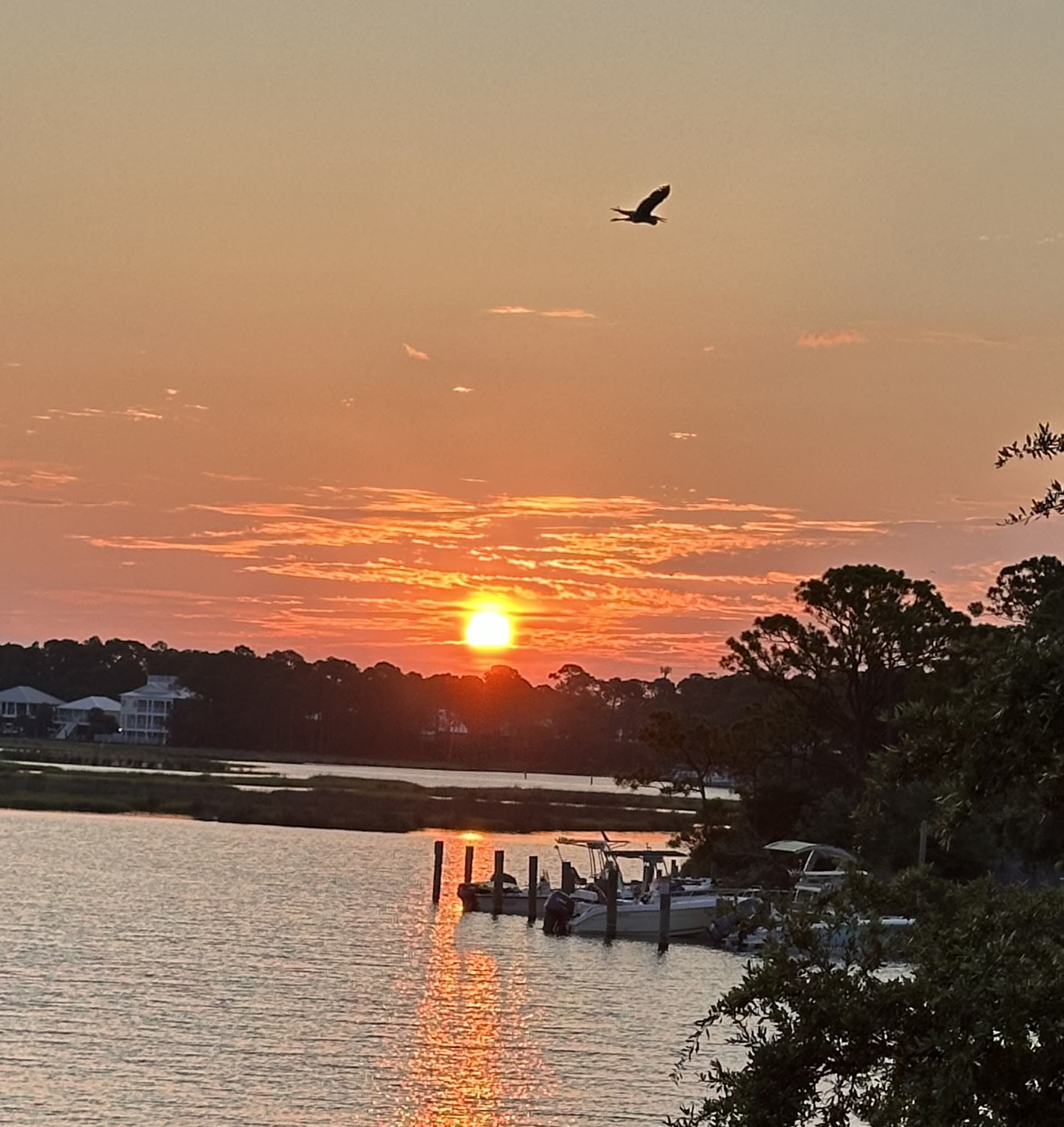 Sunrise at Bayou Heron Bay
