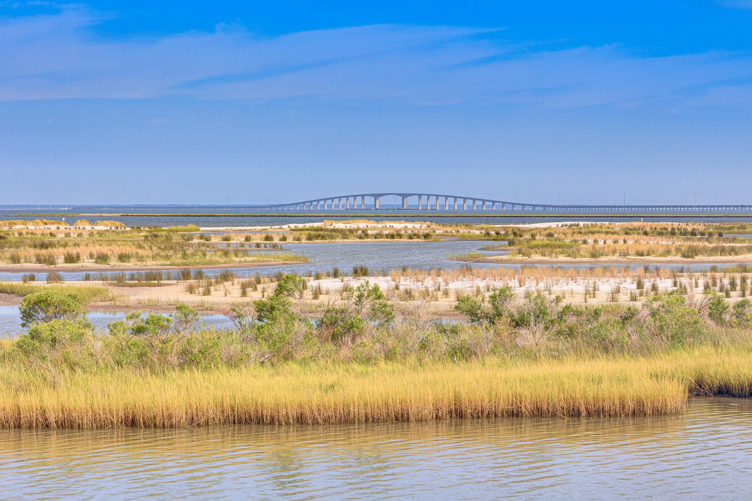 Bayou Heron Bay's image
