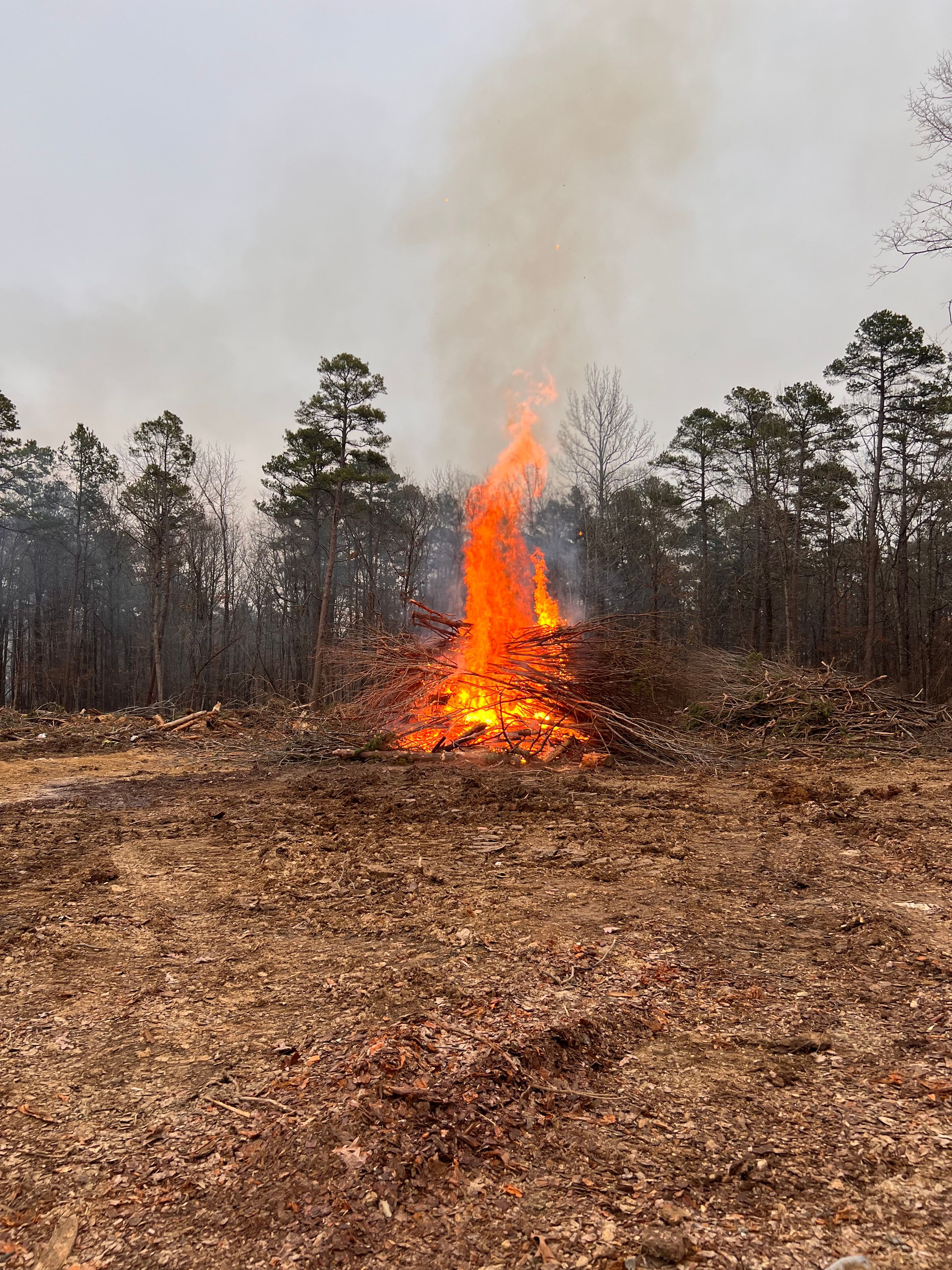 Brush Burning