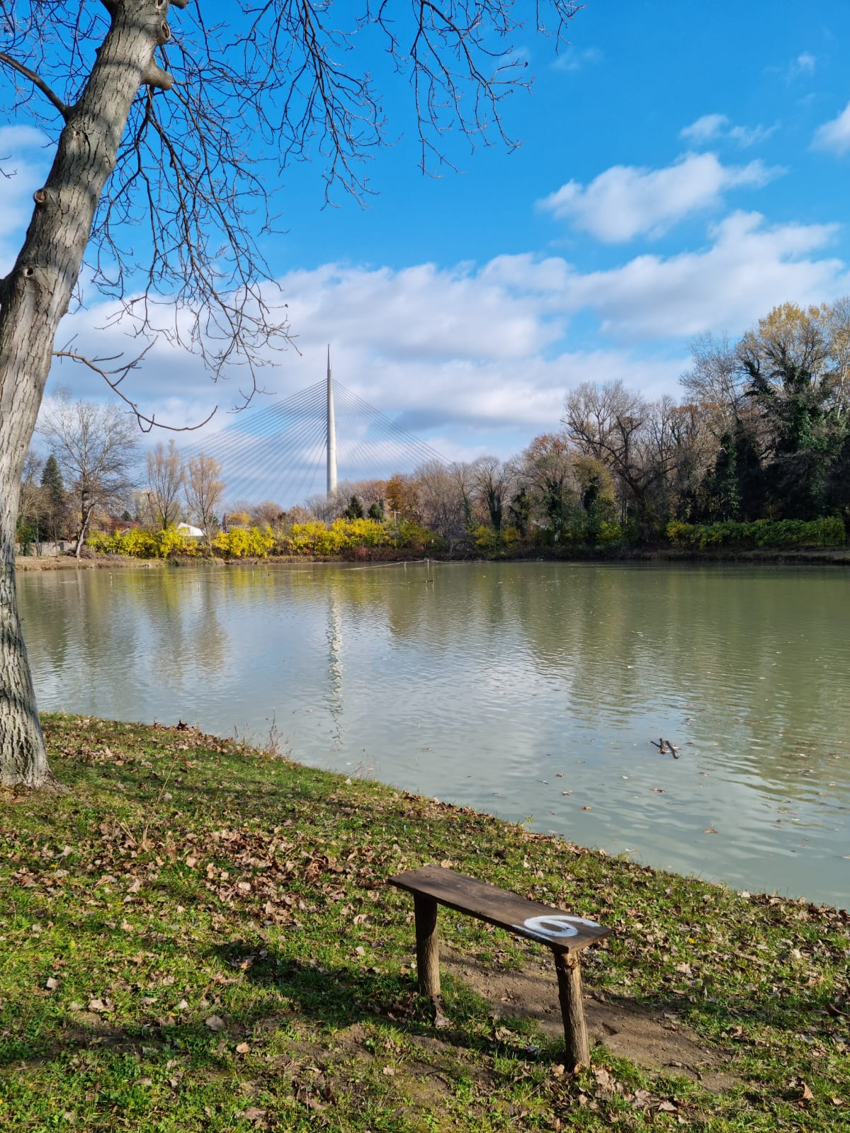 Belgrade-ebikes's image