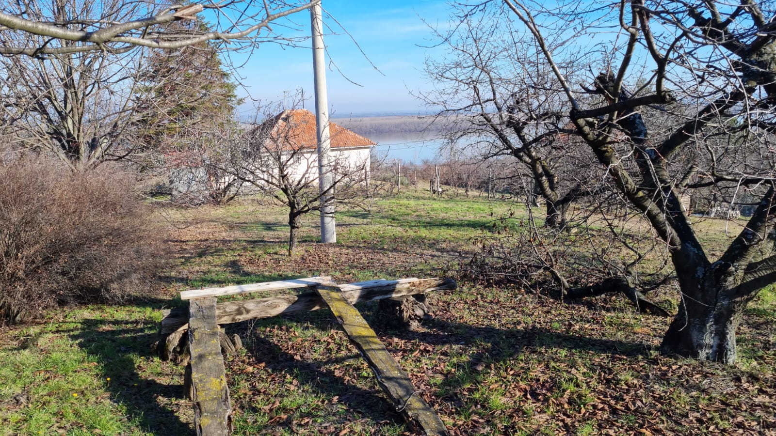 Belgrade-ebikes's image