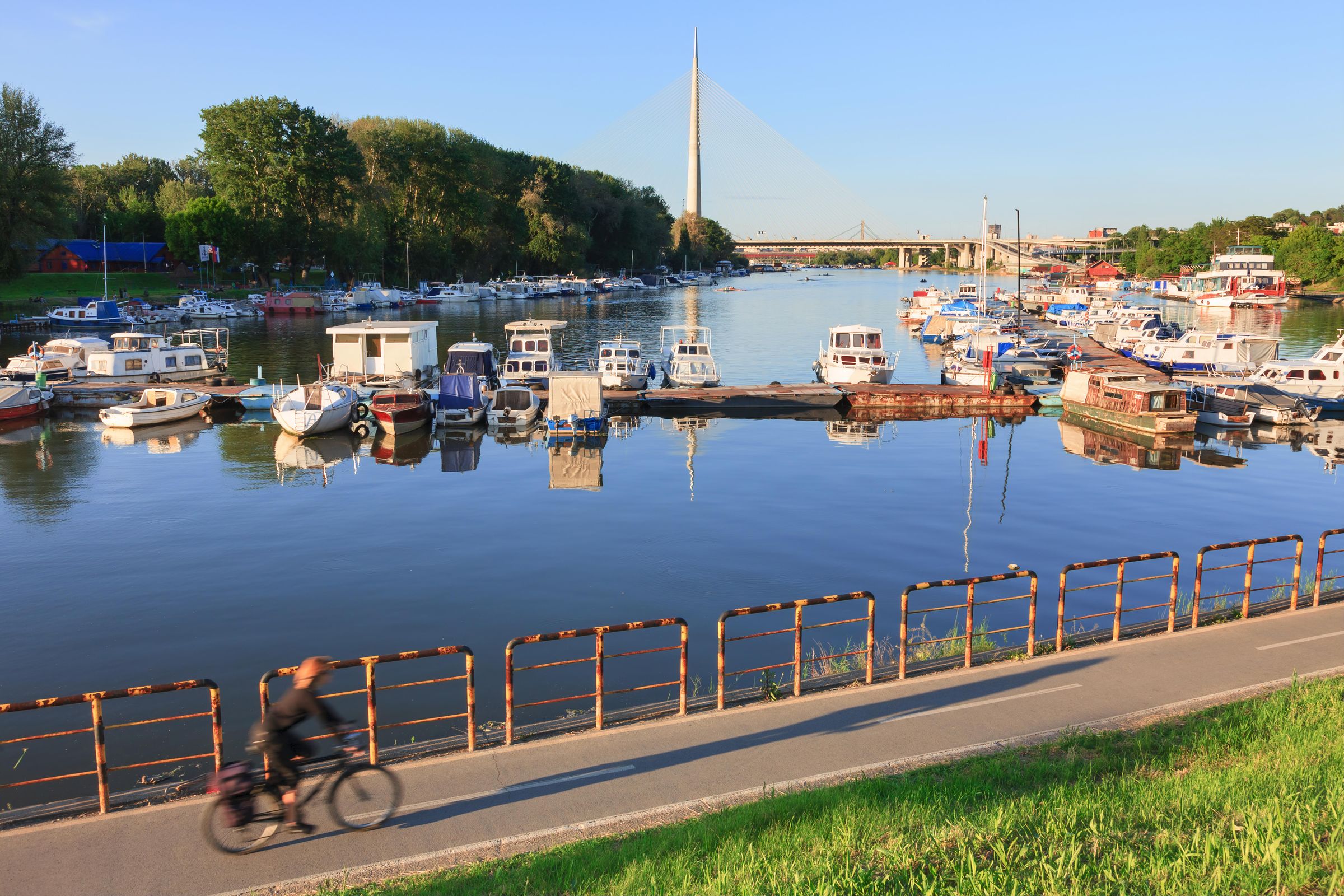 Belgrade-ebikes's image